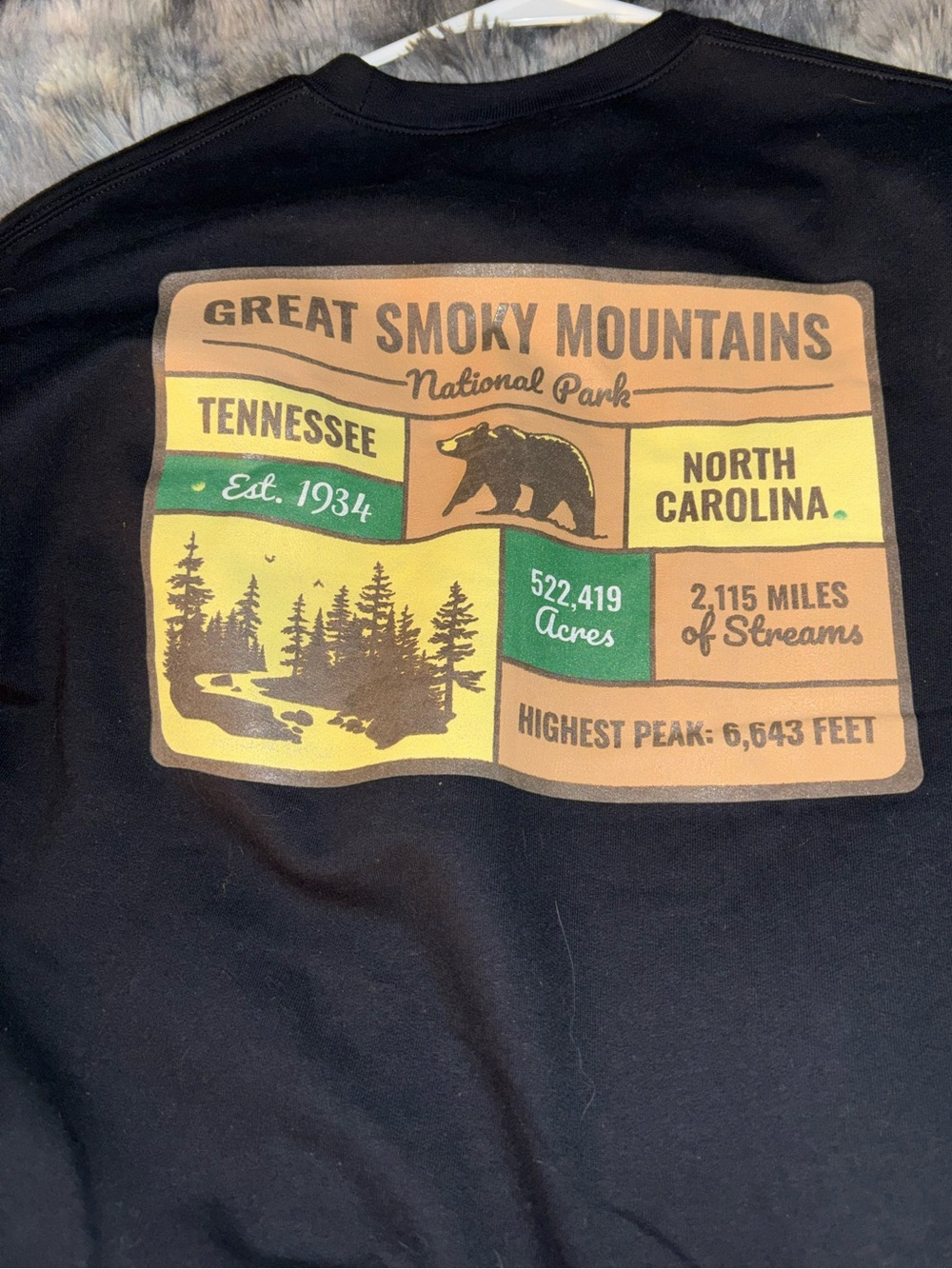 great smokey mountains crewneck
